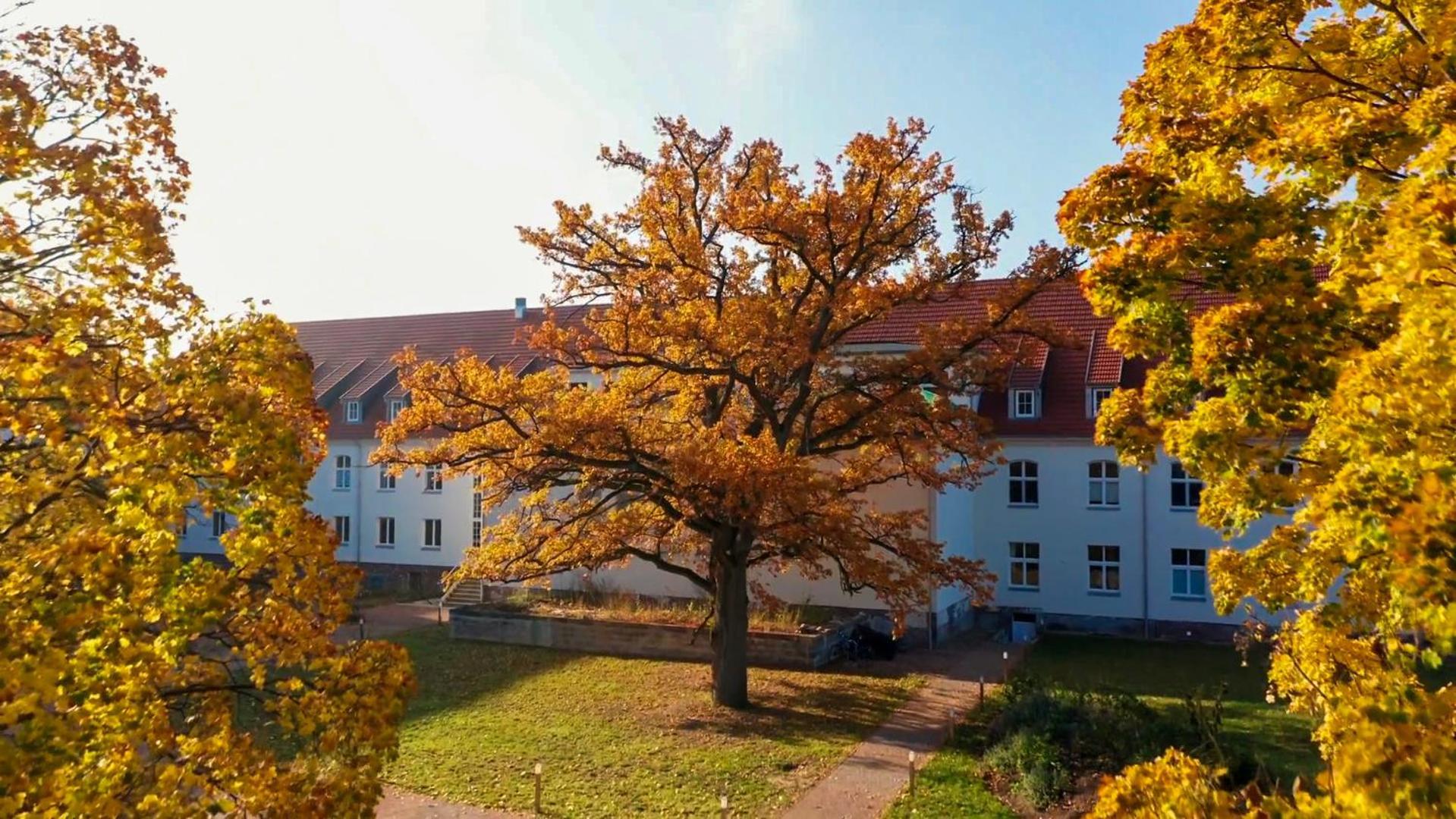 Parkresidenz Lychen, Ferienwohnung 8 Exterior foto